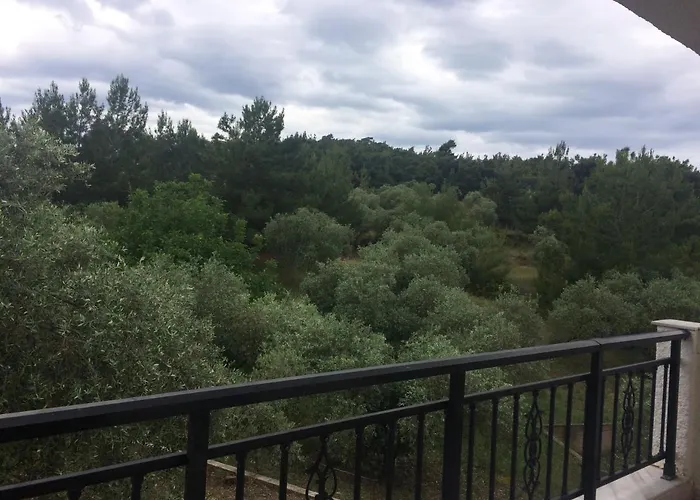 Sofia * אסטריס