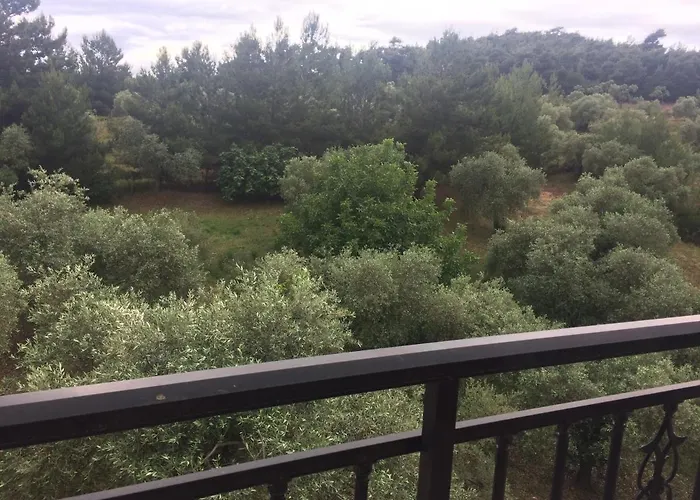 Sofia בית נופש *